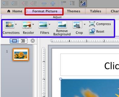 crop feature in powerpoint 2011 for mac
